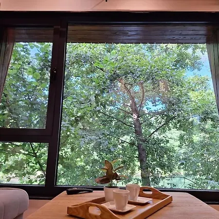 Orah House, A Unique And Unforgettable Vacation On A Private Island Holiday home